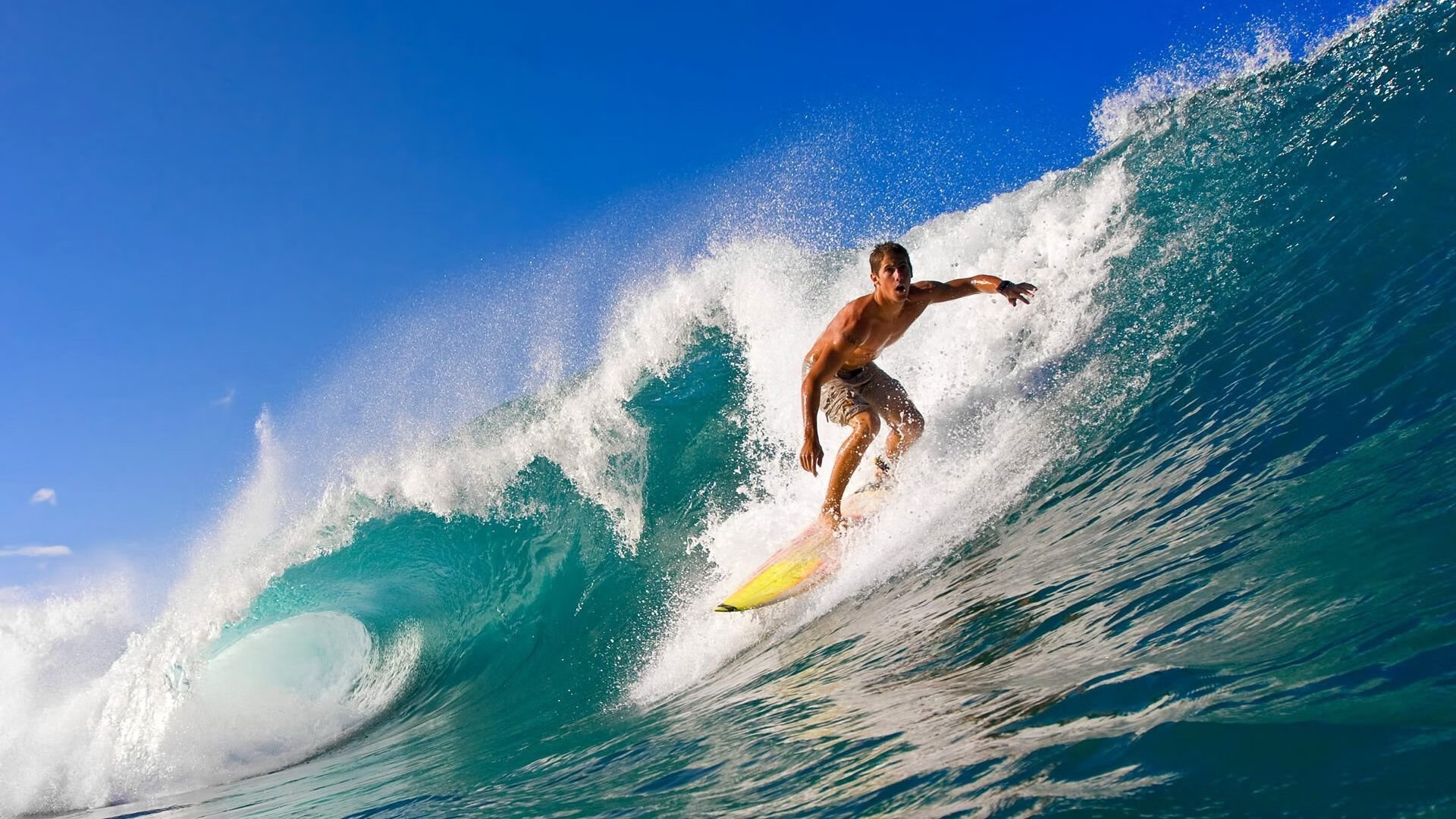 国际滑板赛事吸引众多年轻选手参赛，国际滑板滑雪联合会成立于哪一年